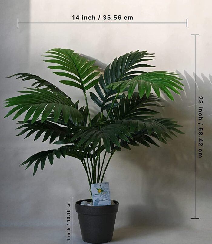 71W4anIiHCL._SL1500_.jpg