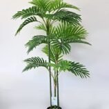81y09u7G3aL._SY879_.jpg