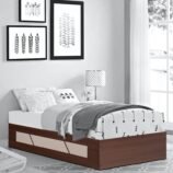 native-single-day-bed-in-brown-colour-by-trevi-furniture-native-single-day-bed-in-brown-colour-by-tr-fdj5h7.jpg