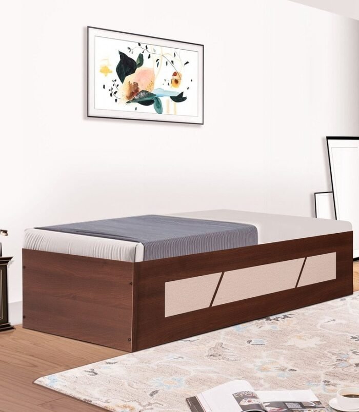 native-single-day-bed-in-brown-colour-by-trevi-furniture-native-single-day-bed-in-brown-colour-by-tr-j37jdx.jpg