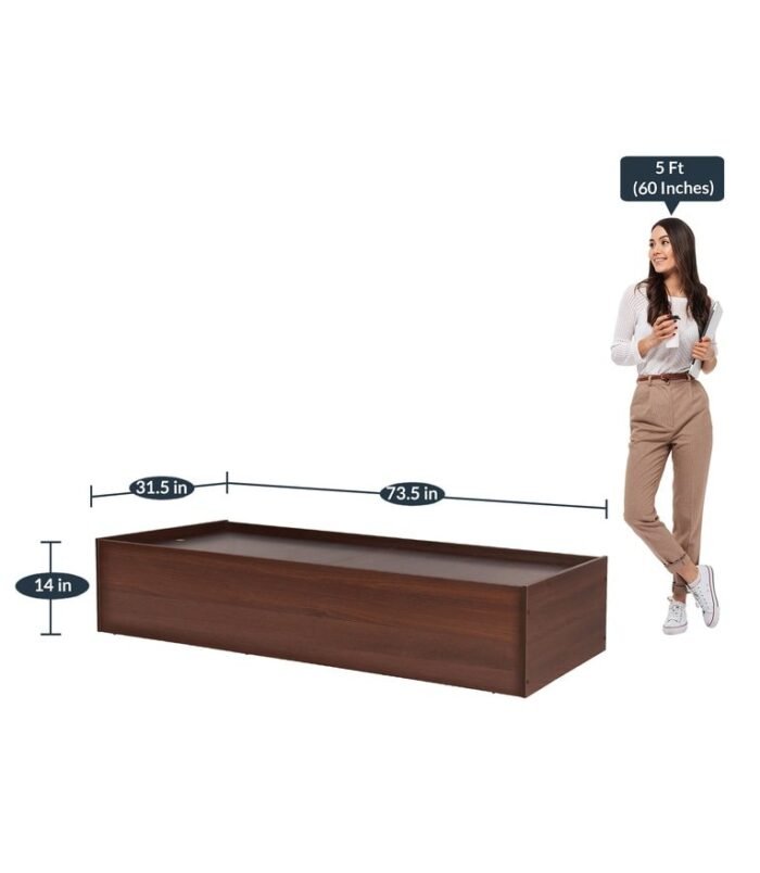 native-single-day-bed-in-brown-colour-by-trevi-furniture-native-single-day-bed-in-brown-colour-by-tr-nxooo8.jpg
